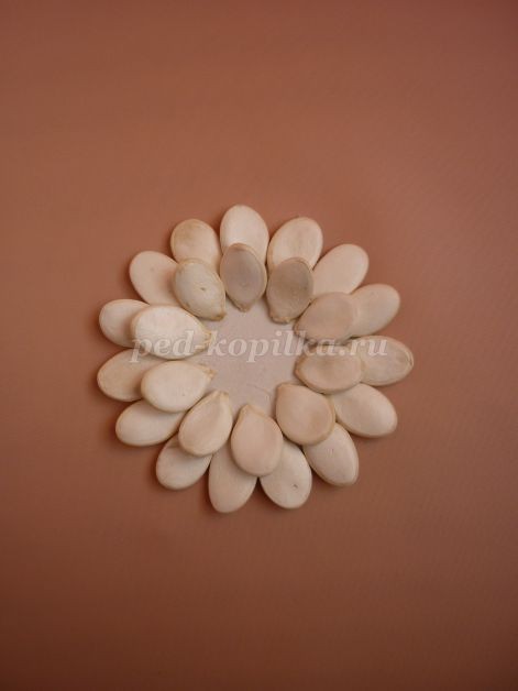 Цветы из тыквенных семечек детскими руками: мастер-класс Цветы из тыквенных семечек детскими руками: мастер-класс