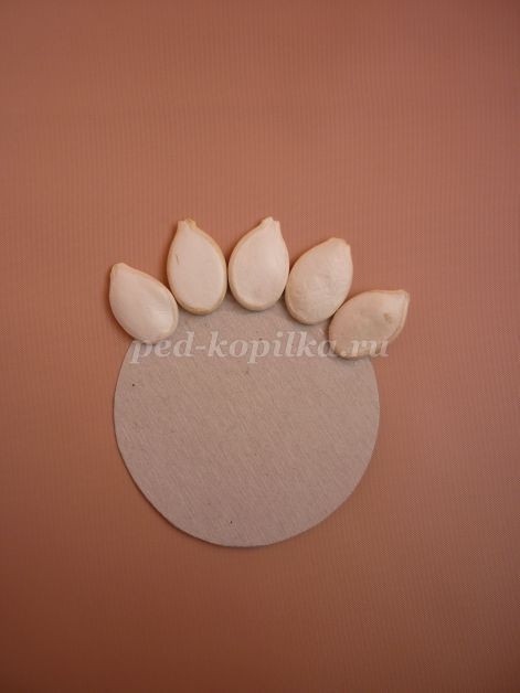 Цветы из тыквенных семечек детскими руками: мастер-класс Цветы из тыквенных семечек детскими руками: мастер-класс