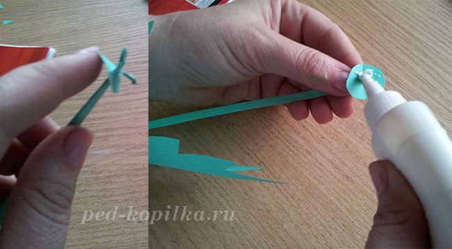 Большие ромашки