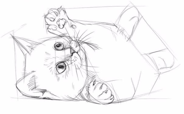 Рисуем котёнка карандашом