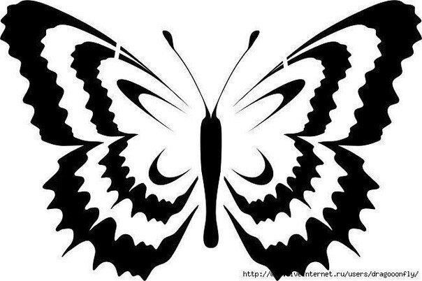 Бабочки с шаблонами