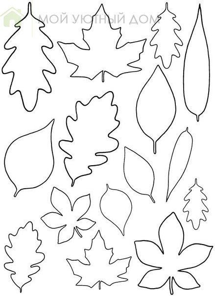 Шаблоны листьев для детского творчества