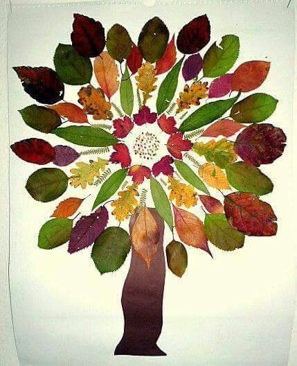 Вариации создания деревьев из опавшей листвы